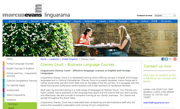 Cheney Court - Business English